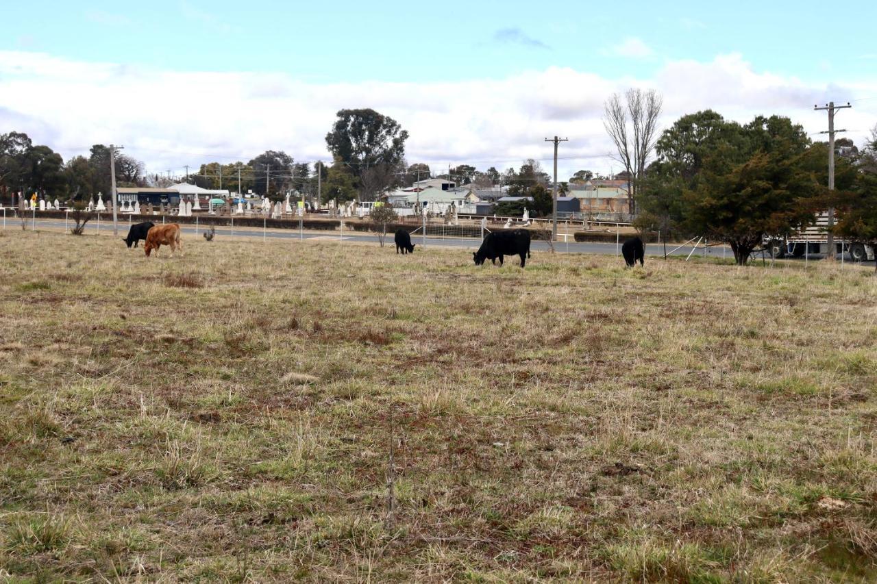 Clover Cottage Uralla Exterior photo